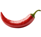 Vector Image
